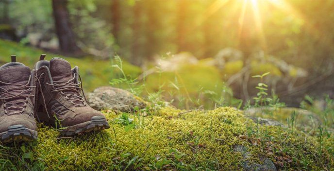 Wanderschuhe auf dem Waldboden